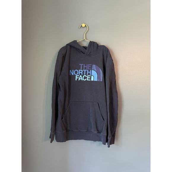 The North Face Navy Hoodie - Picture 1 of 3
